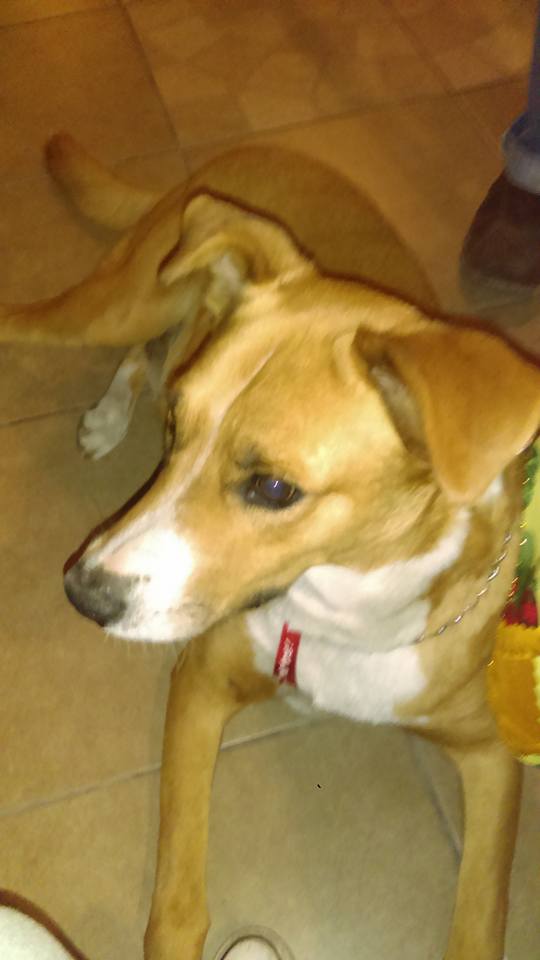 26055841_868596166634567_5149589251323934350_n